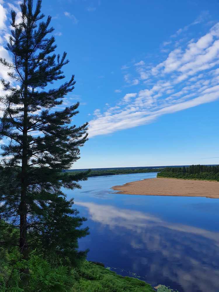 Шенкурский район
