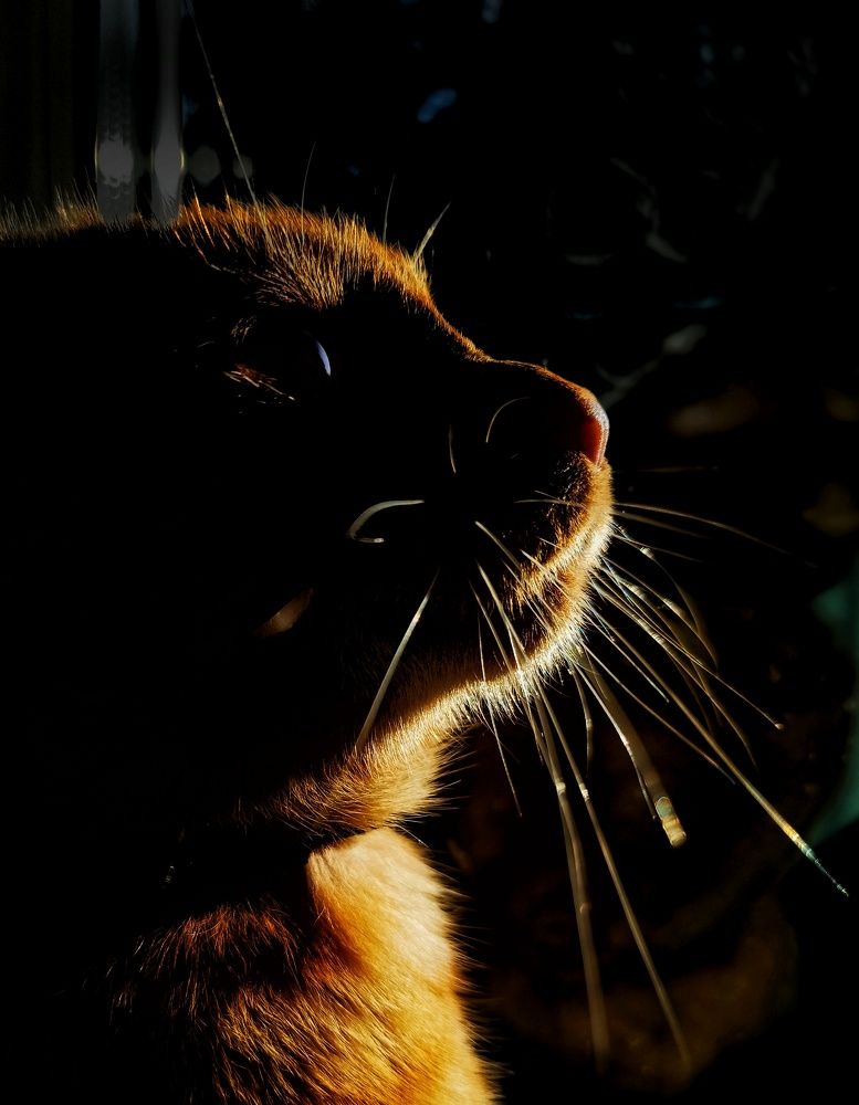 Photograph by Евгения Акишева