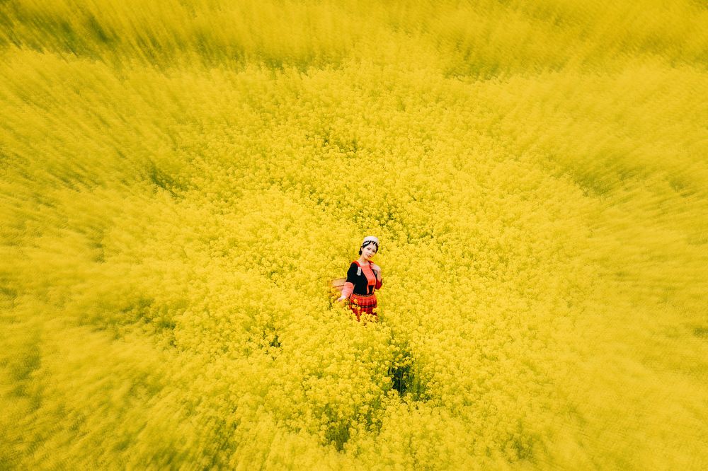 Photograph by Phùng Minh Long