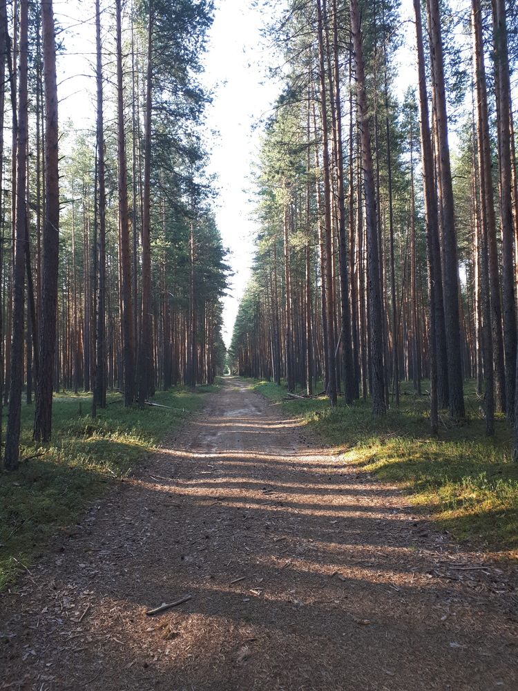 Photograph by Ольга Боровикова