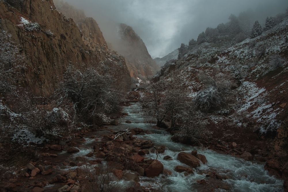 Photograph by Дильмурад Ахмедов