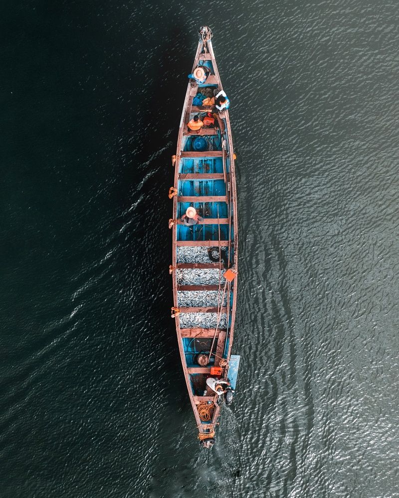 Photograph by Kamath