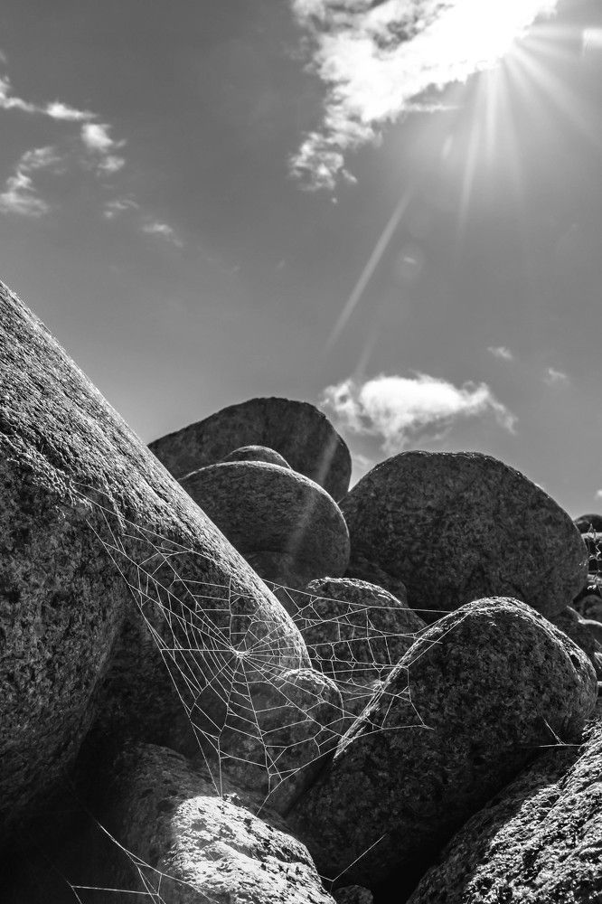 Солнечная паутинка