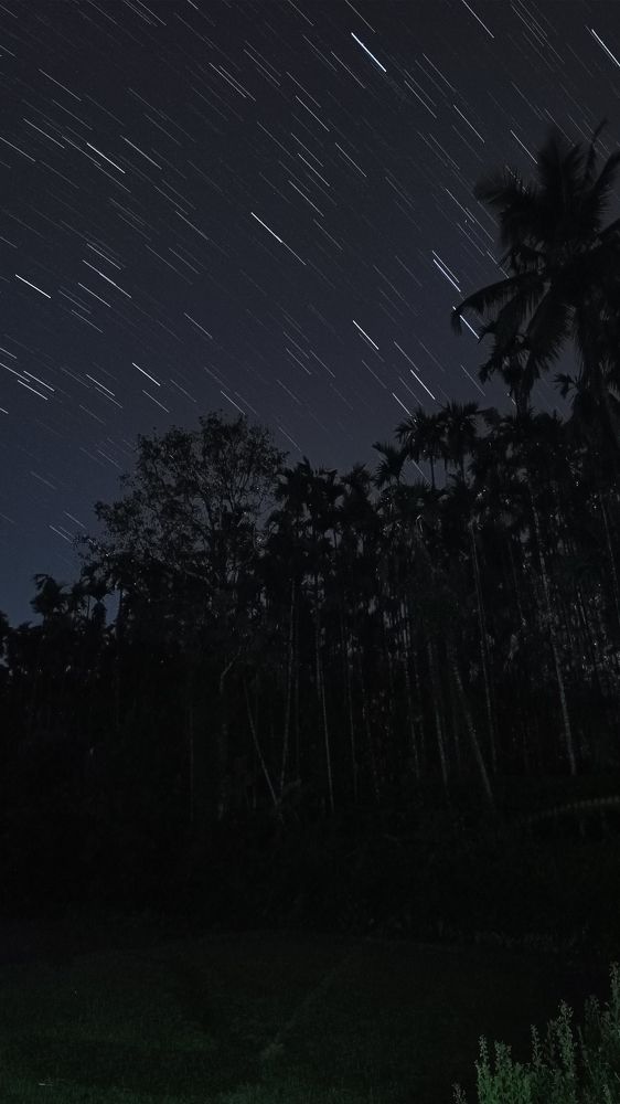 Photograph by T.M.ADITHYA SHRAVAN