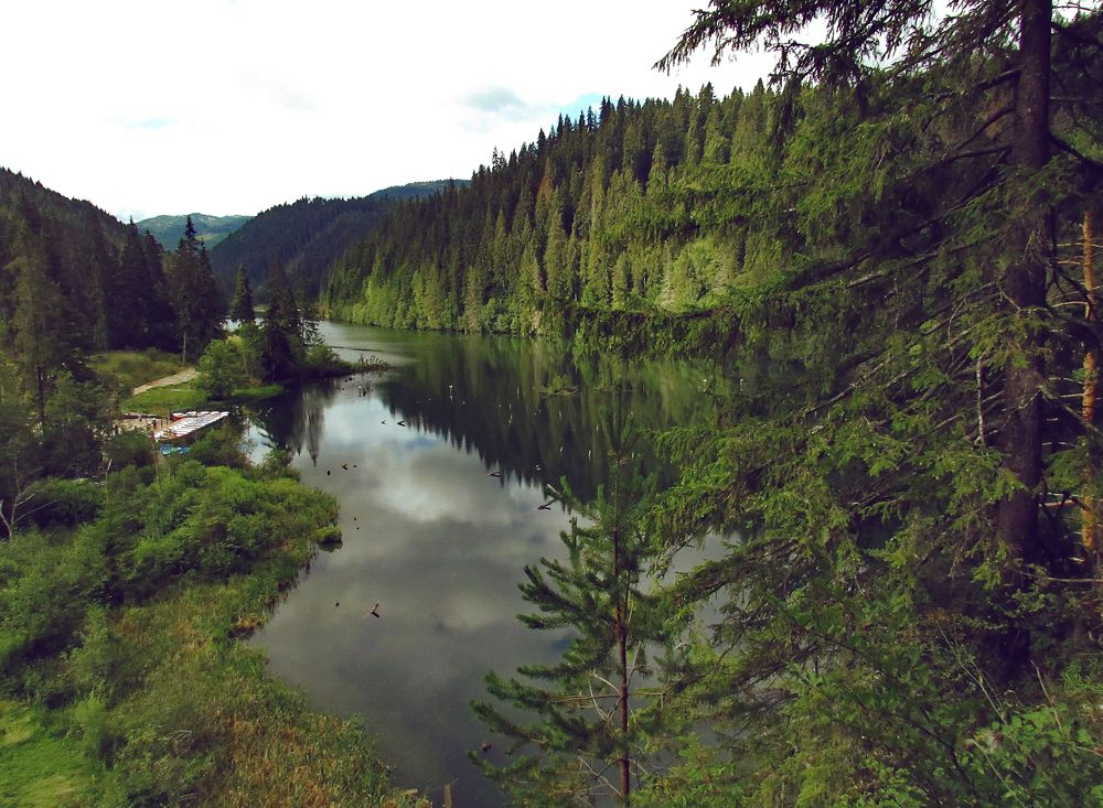 Photograph by Светлана Шмигельская