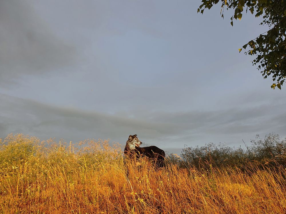 Фотография автора Надежда Лисицына