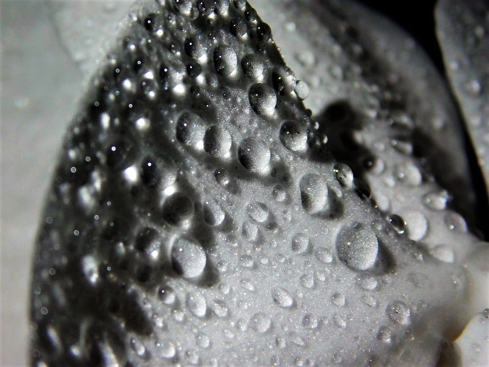 Photograph by Виктория Спицына