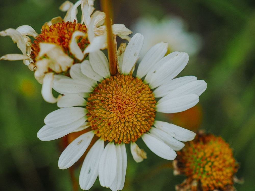 Photograph by Алексей Гнедовский