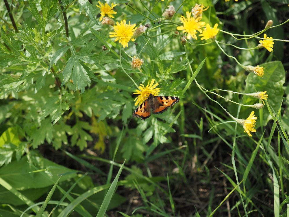 Photograph by Алексей Гнедовский