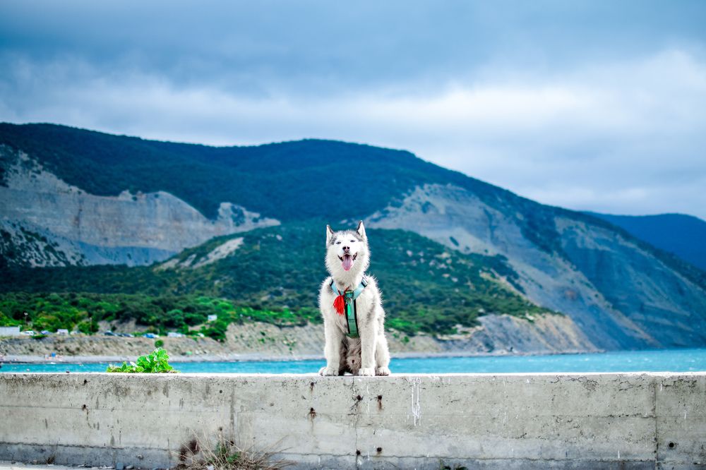Фотография автора Мария Яропольская