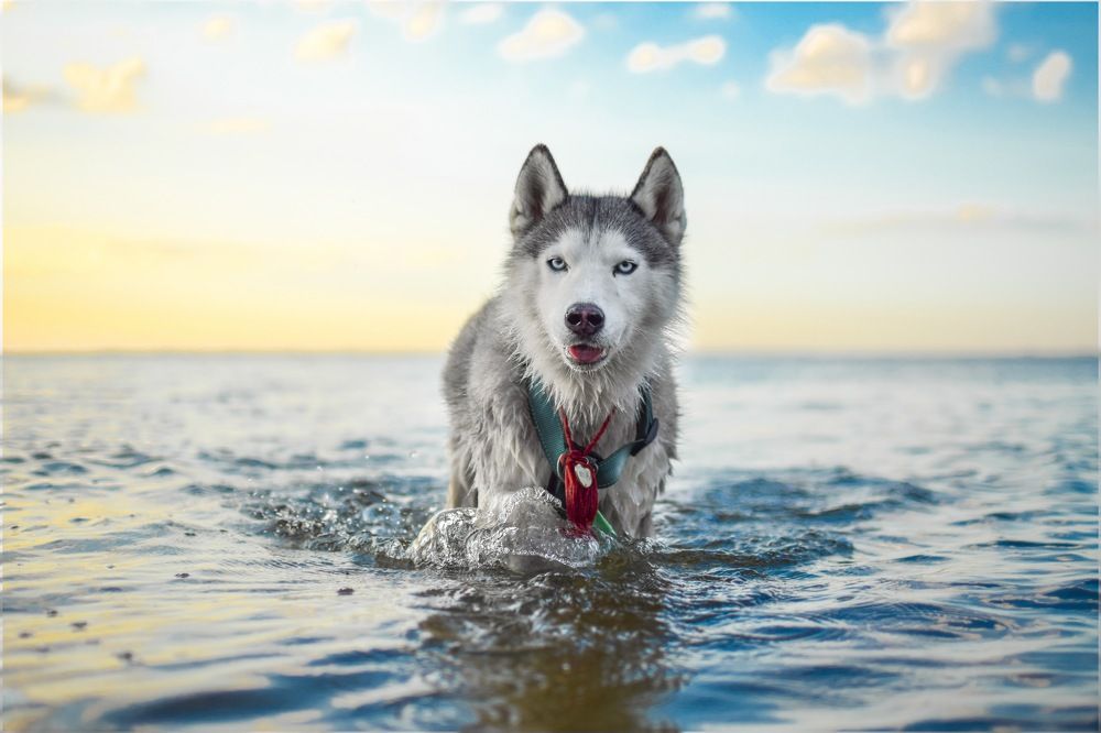 Фотография автора Мария Яропольская