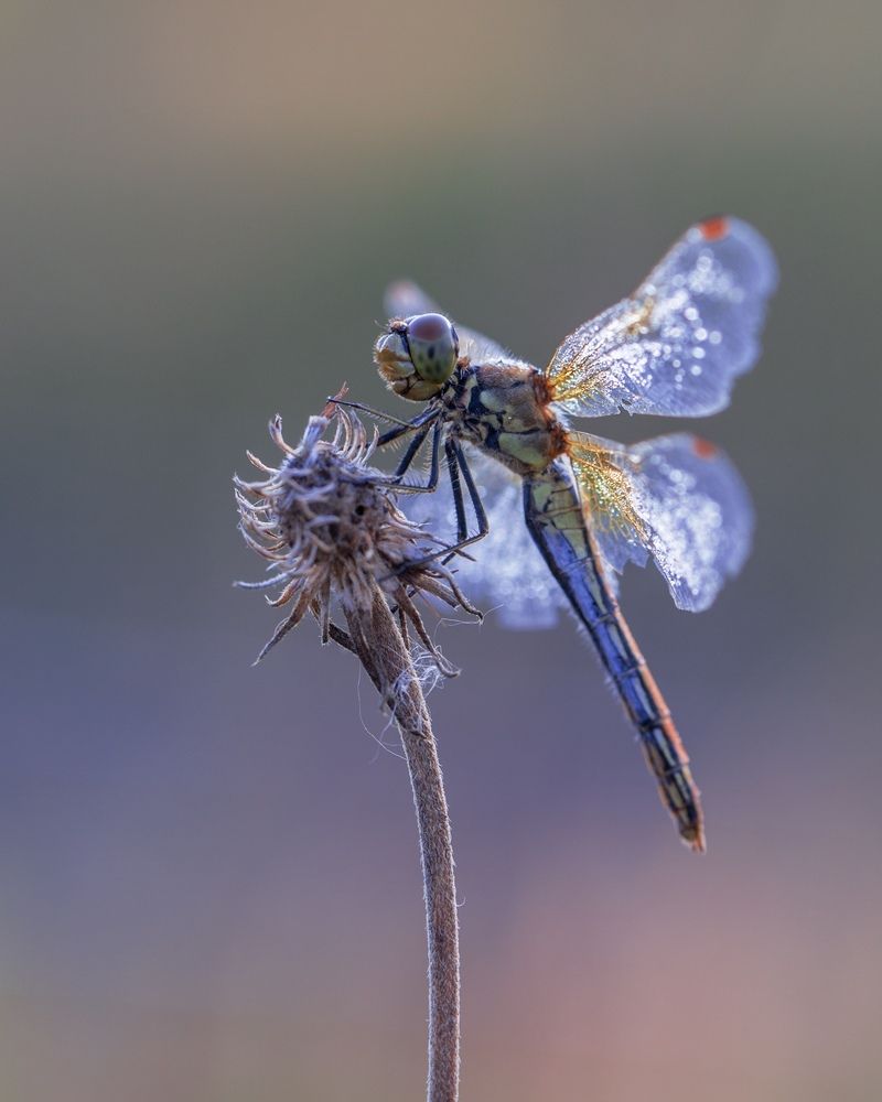 Photograph by Михаил