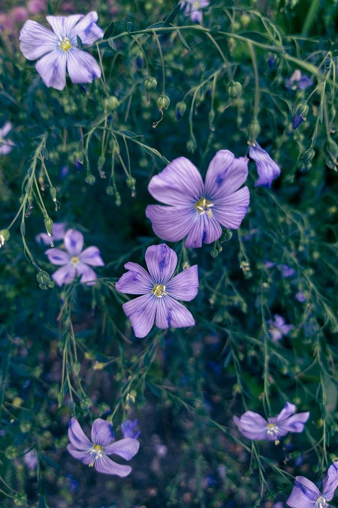 Photograph by Юлия Волгина