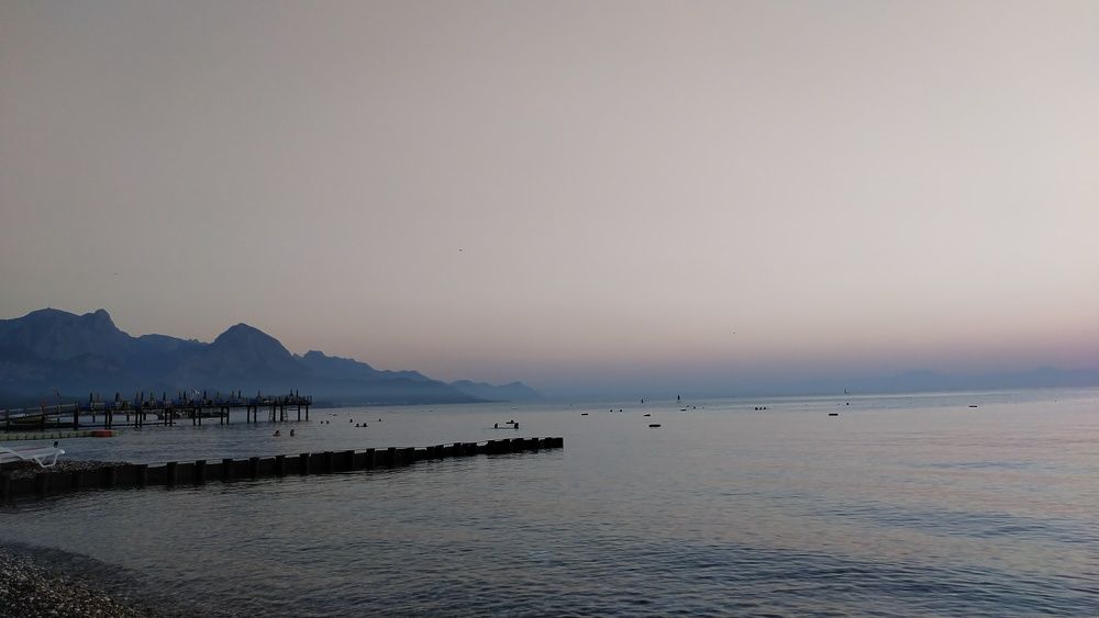 Photo #7953725