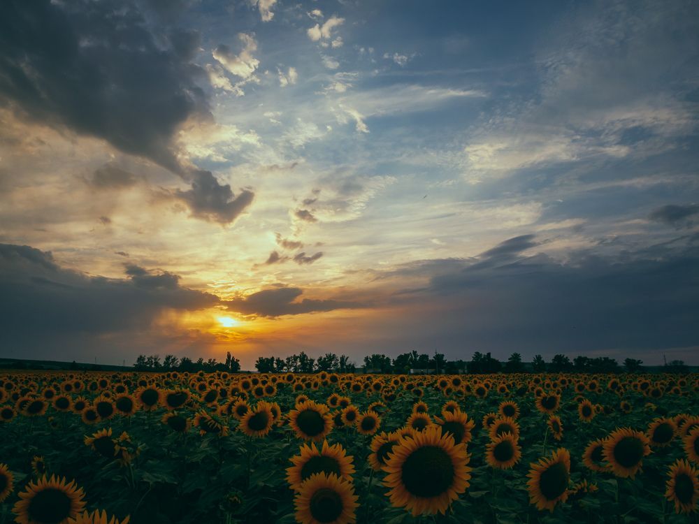 Photograph by Дмитрий Головко
