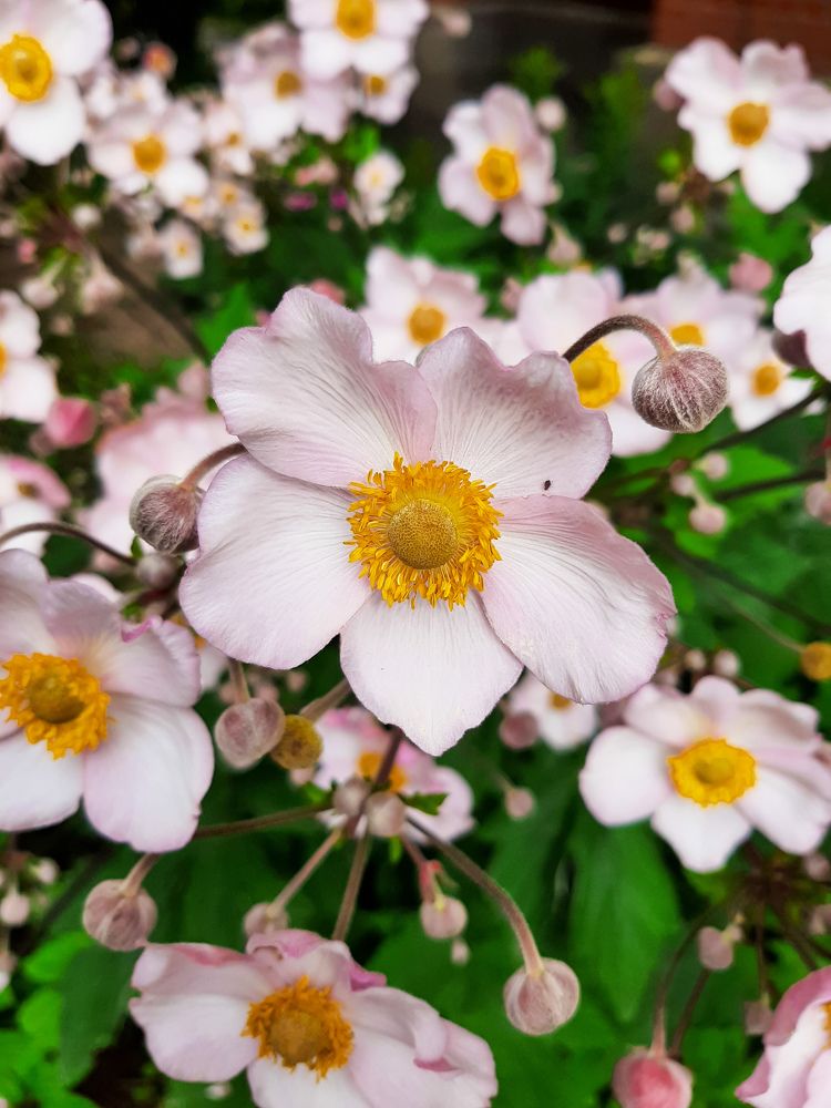 Фотография автора Светлана Дунаева