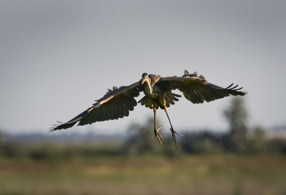 Photograph by Борис Пирог