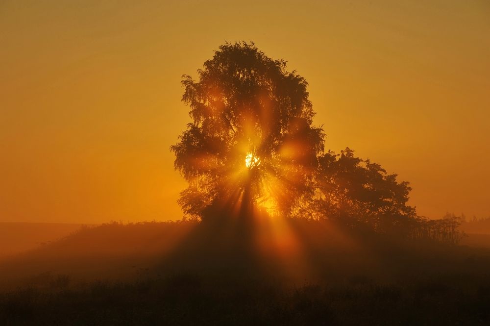 Photograph by Юрий Яковлев