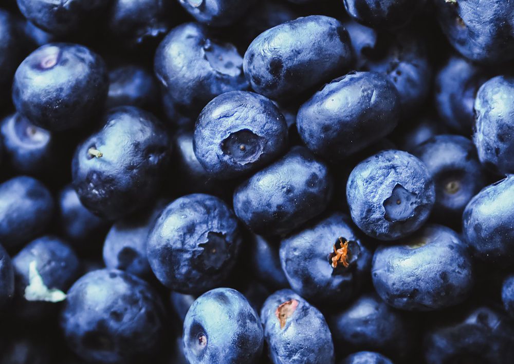 Photograph by Julia Blagoevich