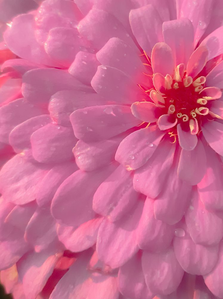 Photograph by Ольга Моисеева