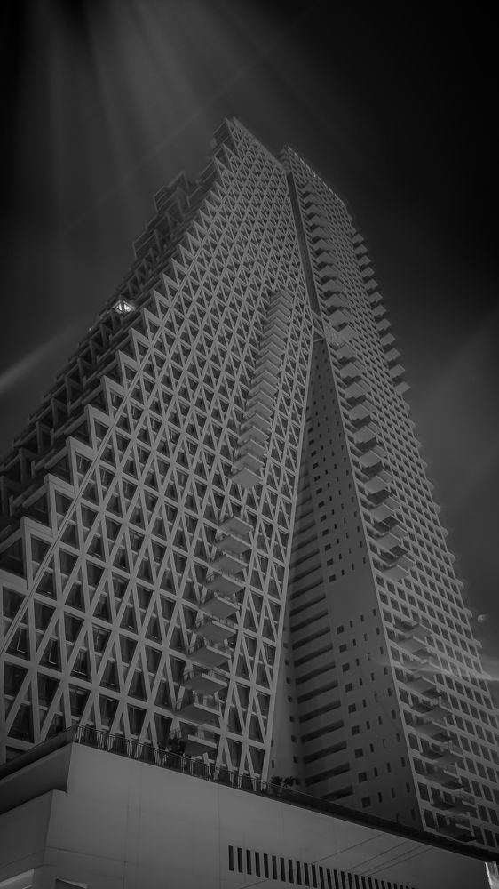 Shades of black and white ?