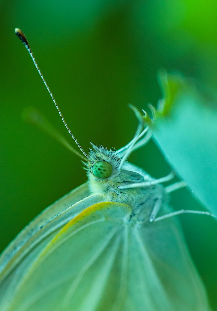 Photograph by Оксана Сафина