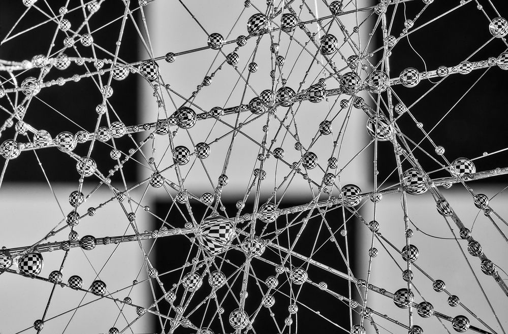 Photograph by Boris Bekelman