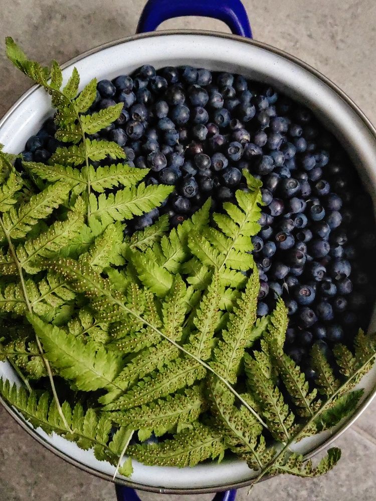 blueberry