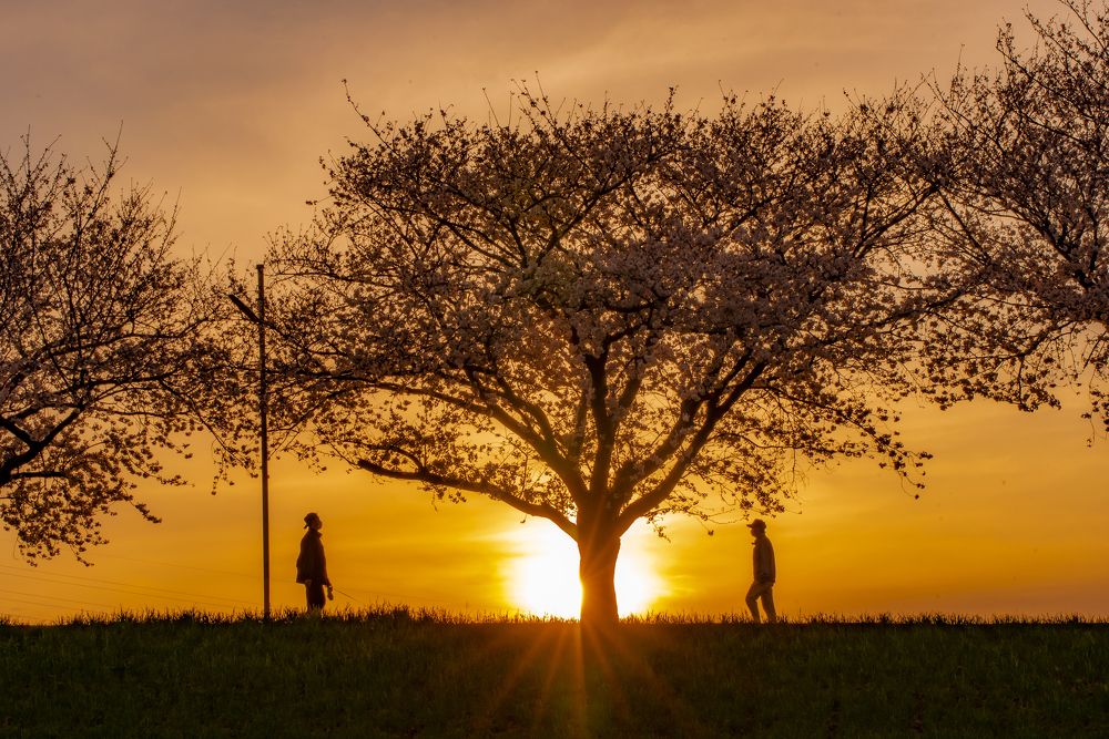 Photograph by Nguyen Thanh Tung