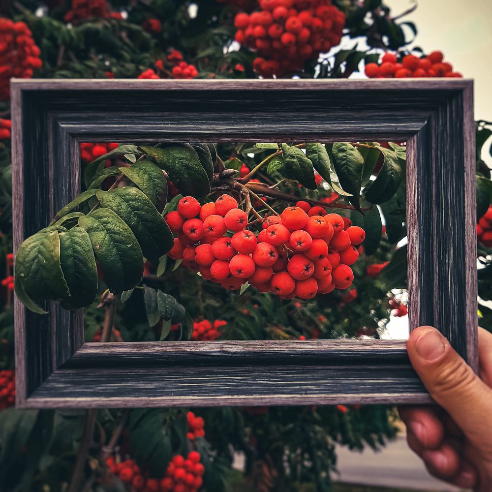 Photograph by Ольга Моисеева