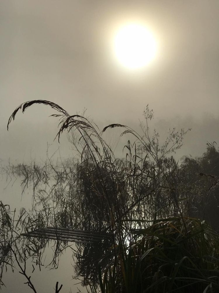 Photograph by Юлия