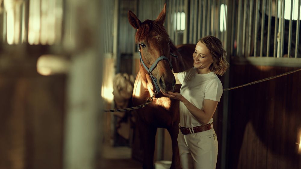 Любимая жизнь