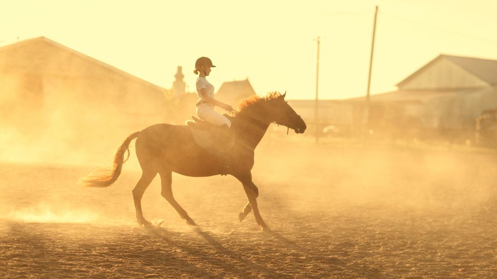 Photograph by Наталья Петренко