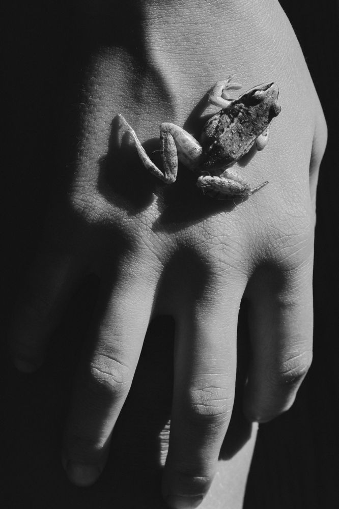 Photograph by Татьяна Носкович