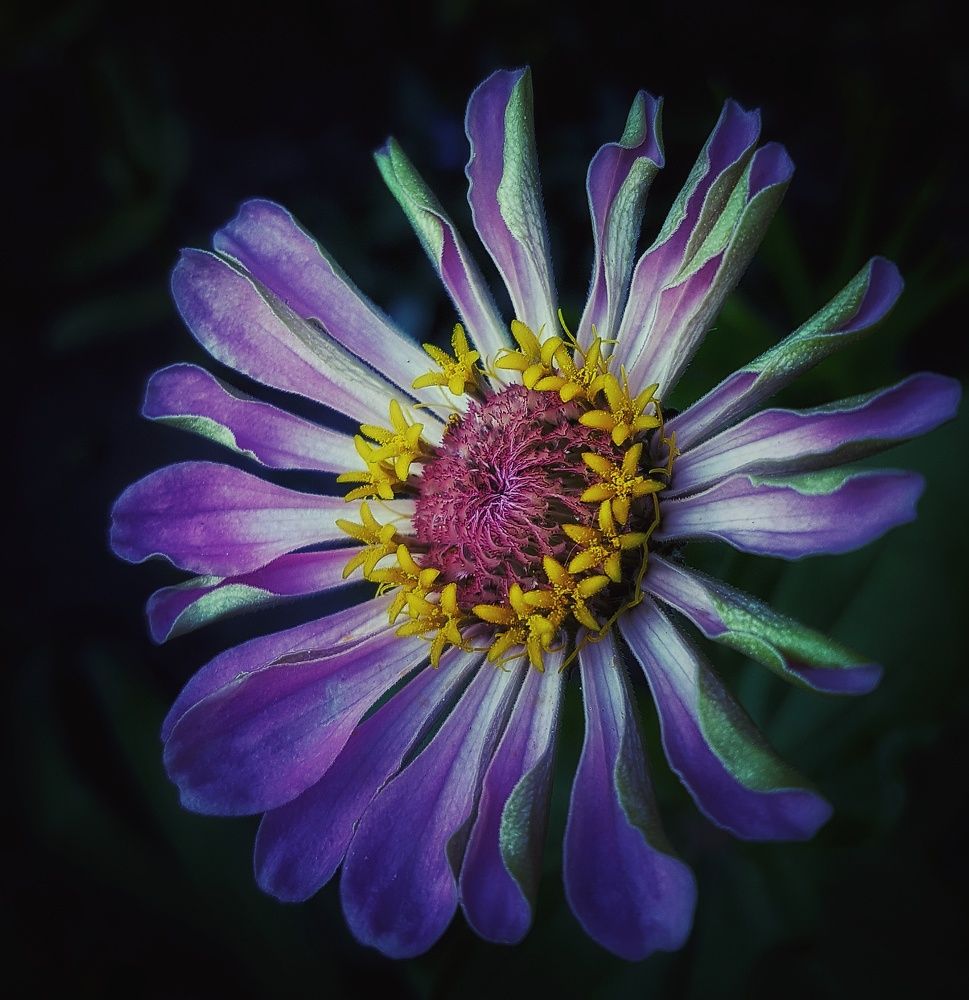 Photograph by Инга Сабанова