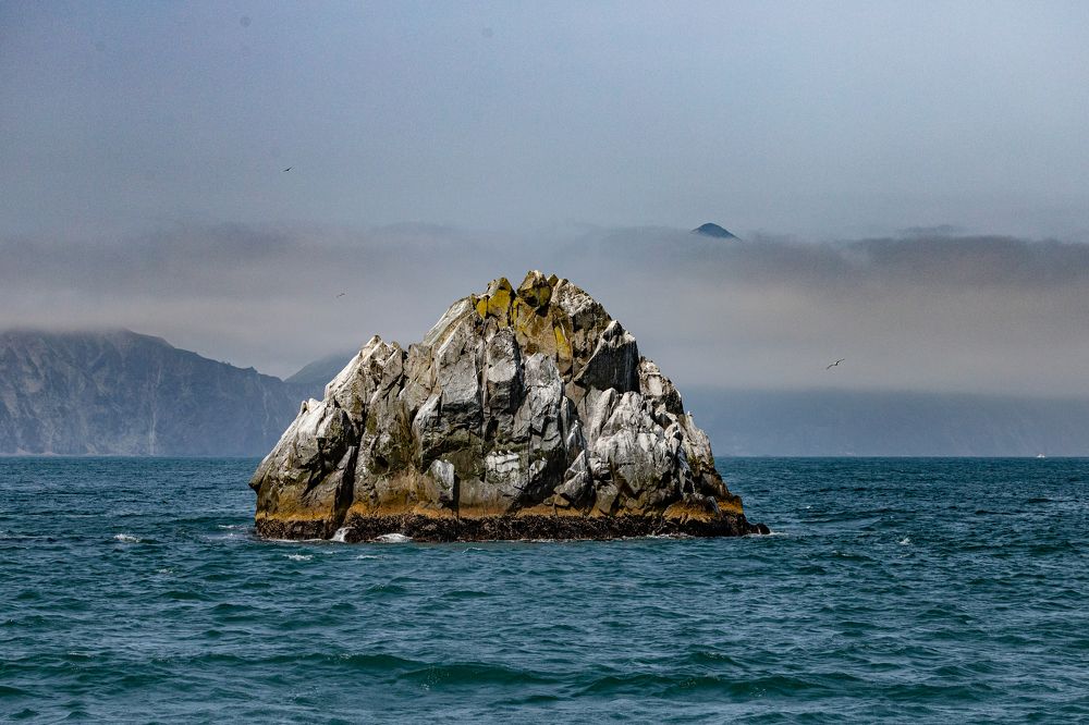 Photograph by Камагина Евдокия