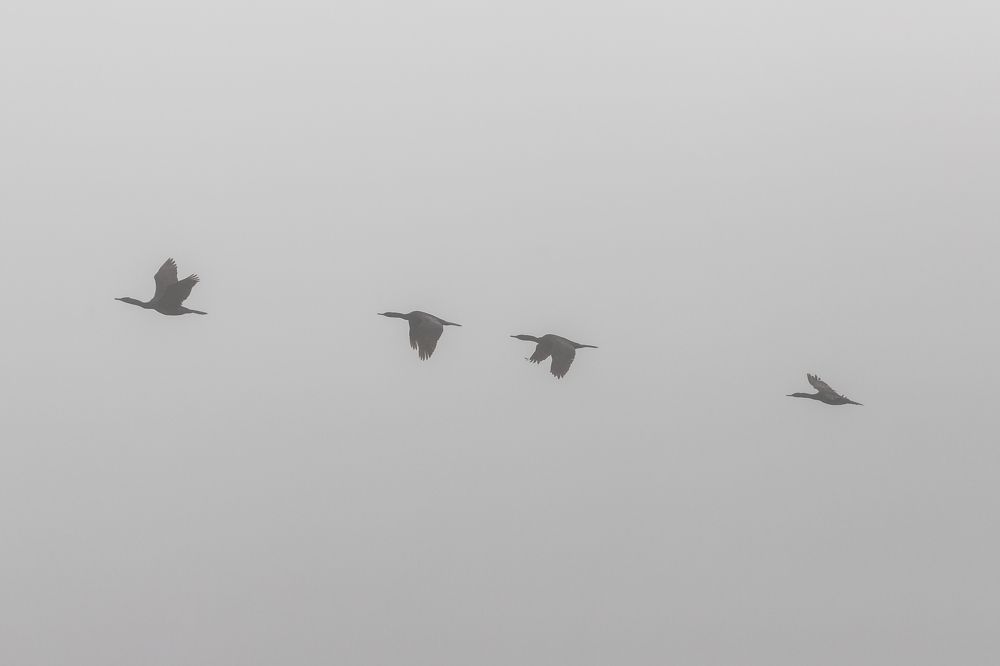 Photograph by Евдокия Камагина