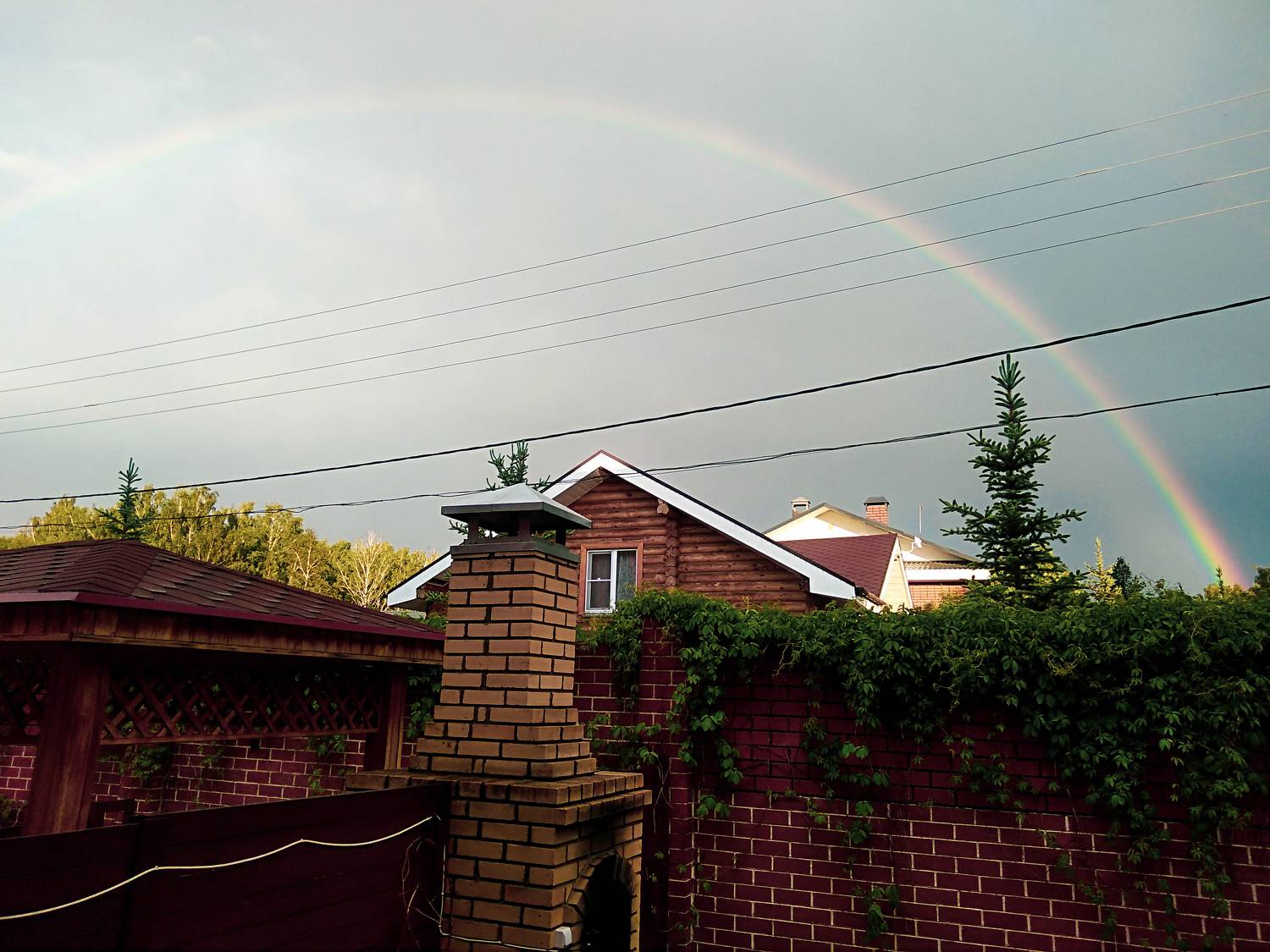 Photo #7954697