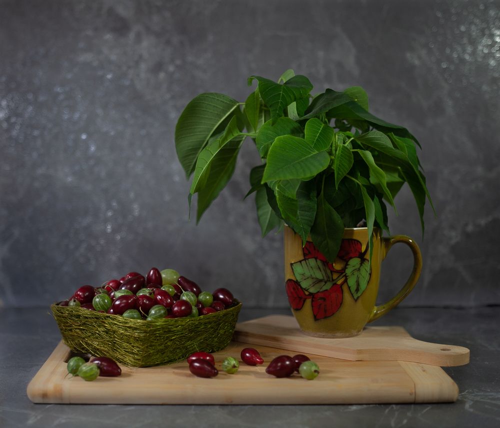 Photograph by Яна Соболева