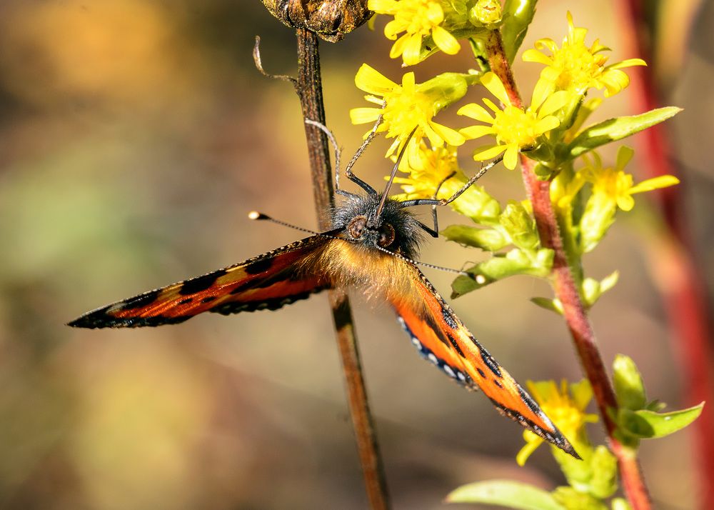 Photograph by Валерий Пегушев