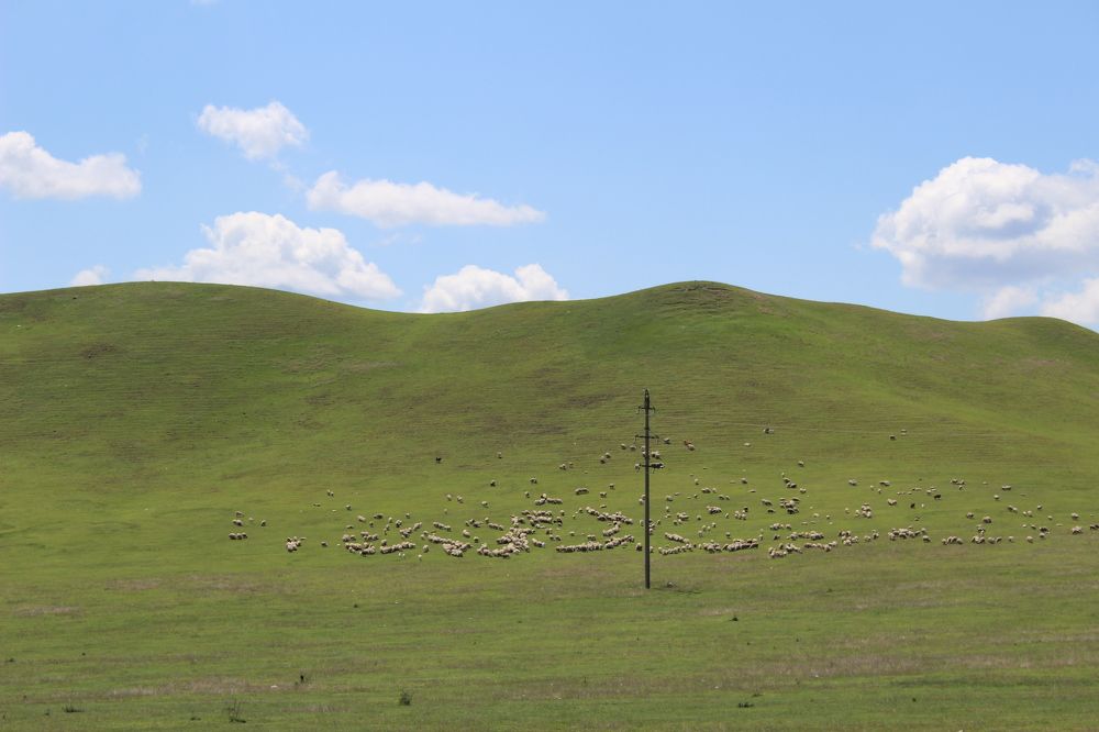 Photograph by Люция Кутлугужина