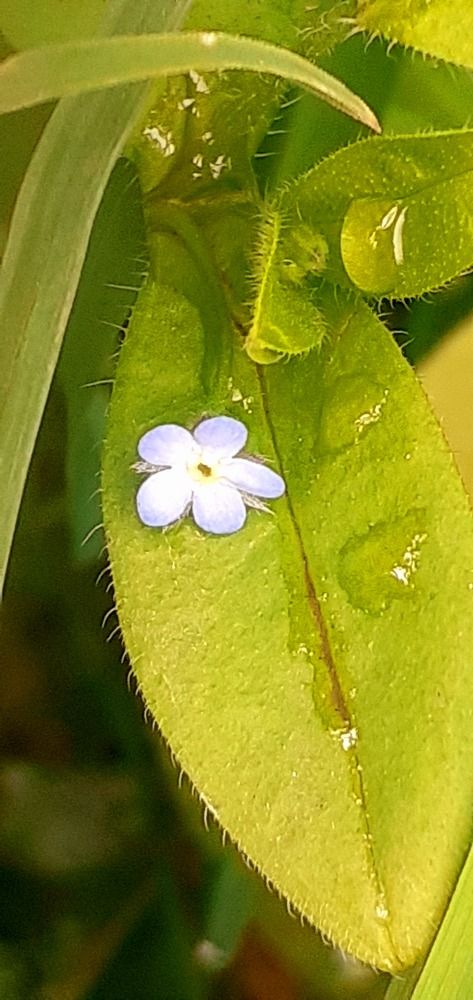 Photograph by Евгения Ульянова