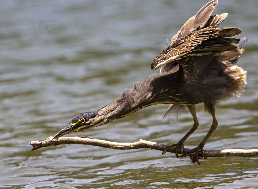 Photograph by Валентина Лопаткина