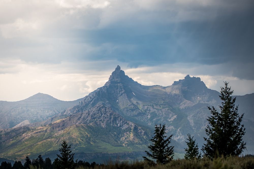 Photograph by Tony Douzenis