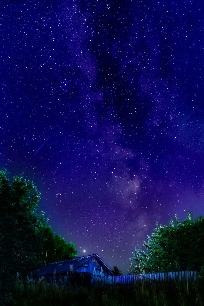 Photograph by Margarita