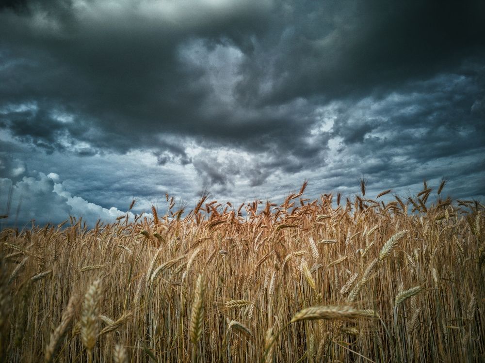 Photograph by Катерина Дорошевич