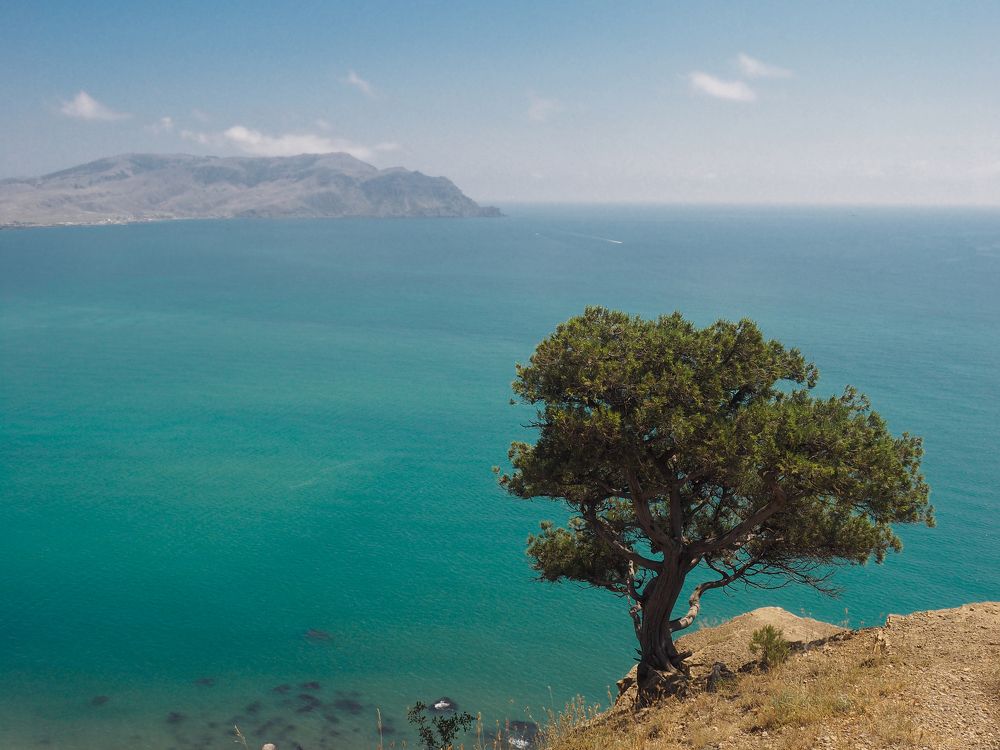 Крымские мотивы. Август.