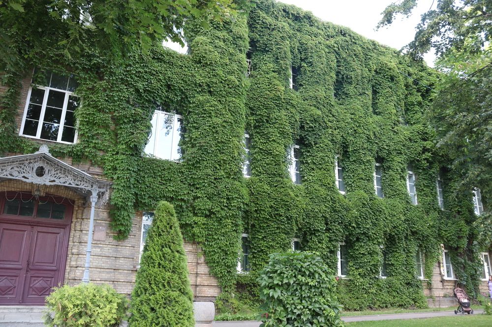 Фотография автора Анастасия Богдан