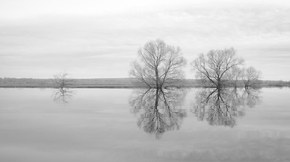 Покрова на Нерли (разлив)
