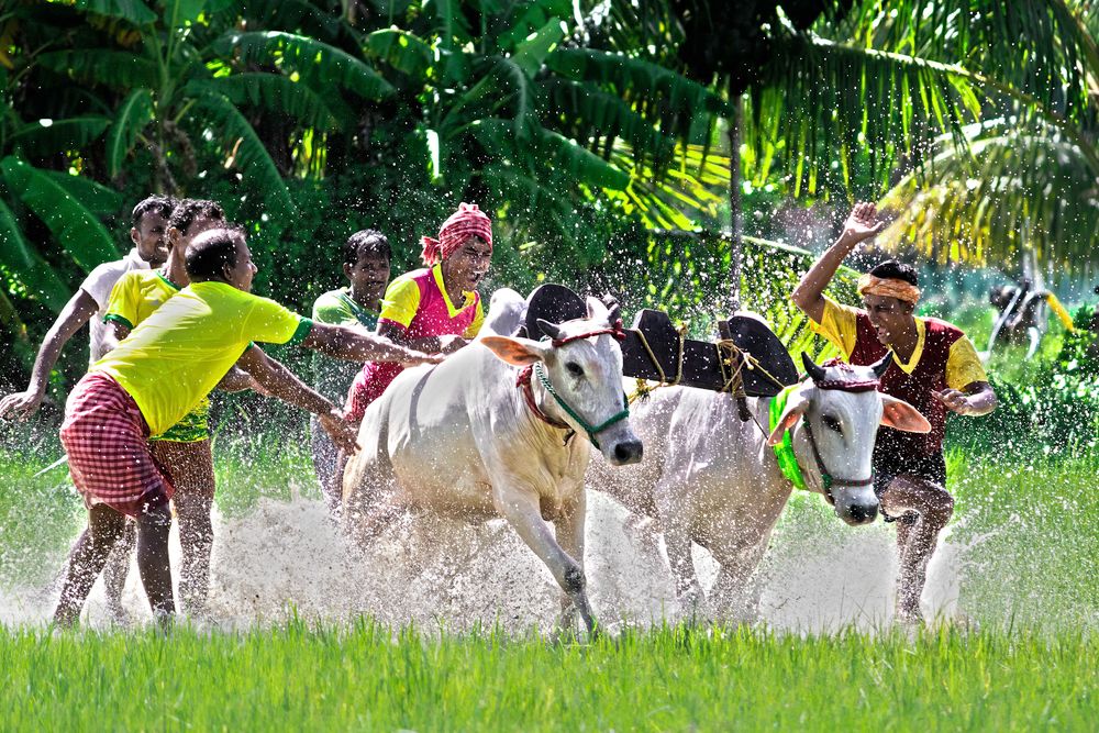 Photograph by Sanjay Hembram